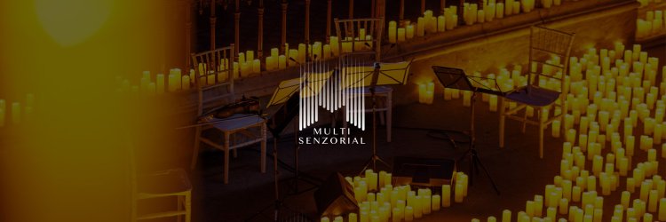 Ceaikovski: Lacul lebedelor si Spargatorul de nuci